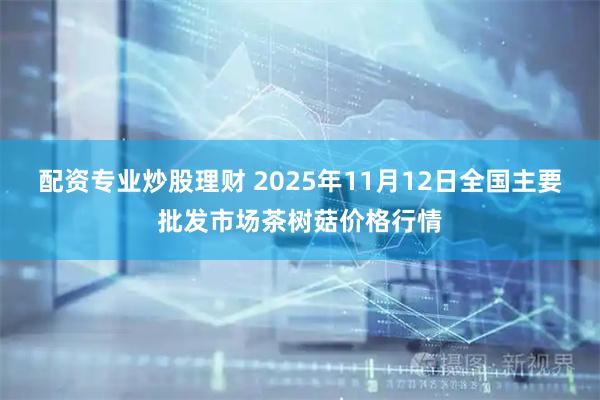 配资专业炒股理财 2025年11月12日全国主要批发市场茶树菇价格行情
