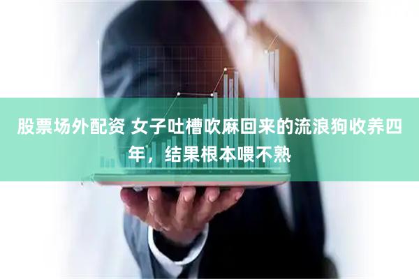 股票场外配资 女子吐槽吹麻回来的流浪狗收养四年，结果根本喂不熟